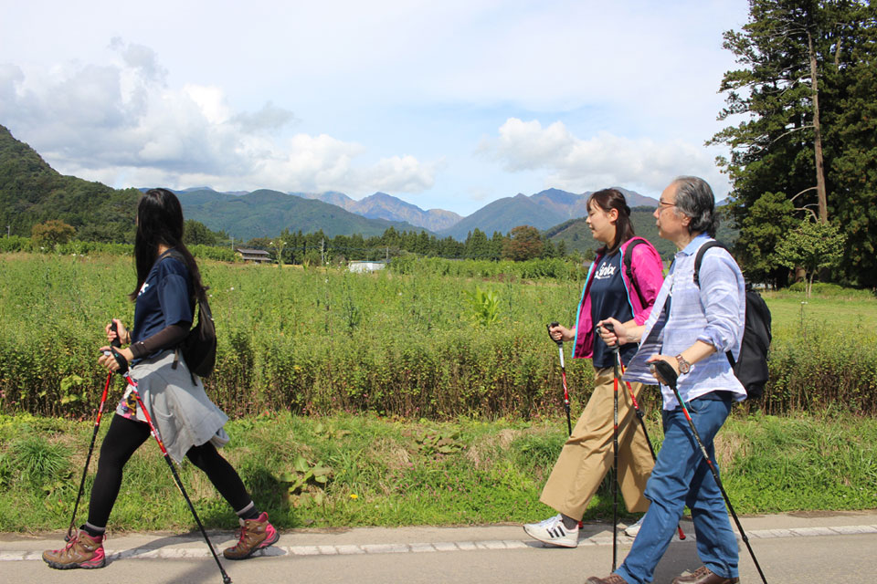 walk_image_2